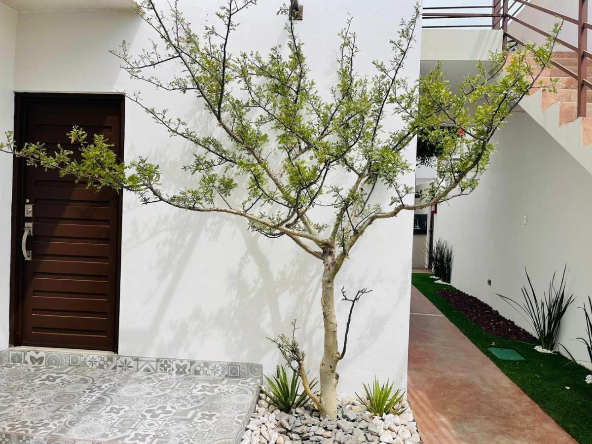Casa Maya La Paz Εξωτερικό φωτογραφία